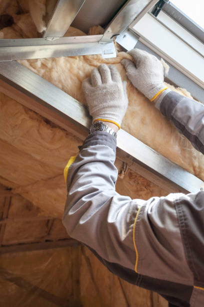 Best Residential Insulation in Carthage, MO