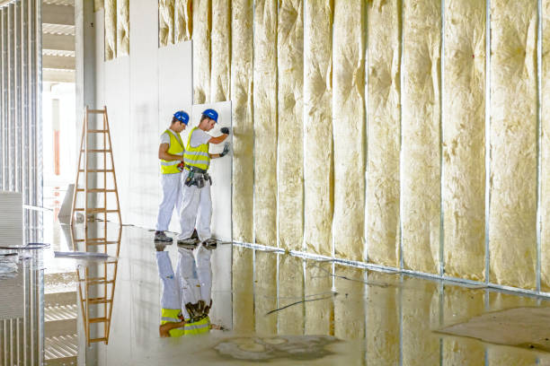 Best Insulation for Specific Applications in Carthage, MO